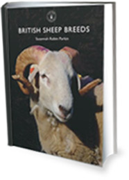british sheep breeds book large